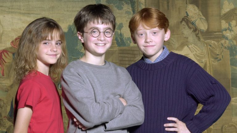 Hbo's New Harry Potter Series Has Cast The Actors For
