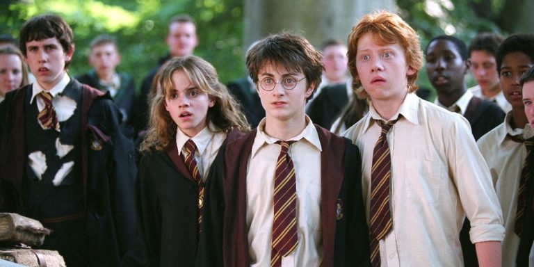 We Swear To The Silly That "harry Potter And The