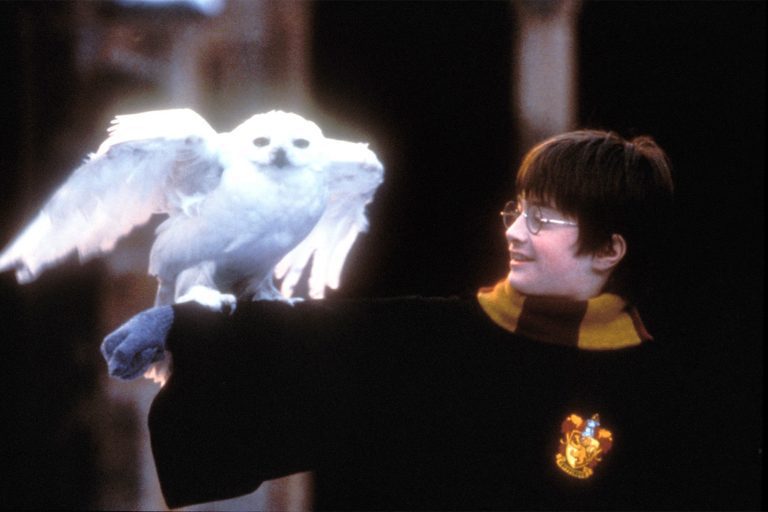 Syfy's Harry Potter Movie Marathon From March 28 To April