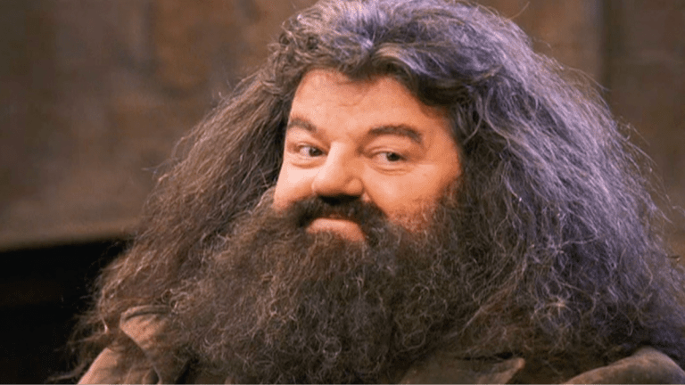 The Hbo Series About Harry Potter Reveals That Hagrid Is