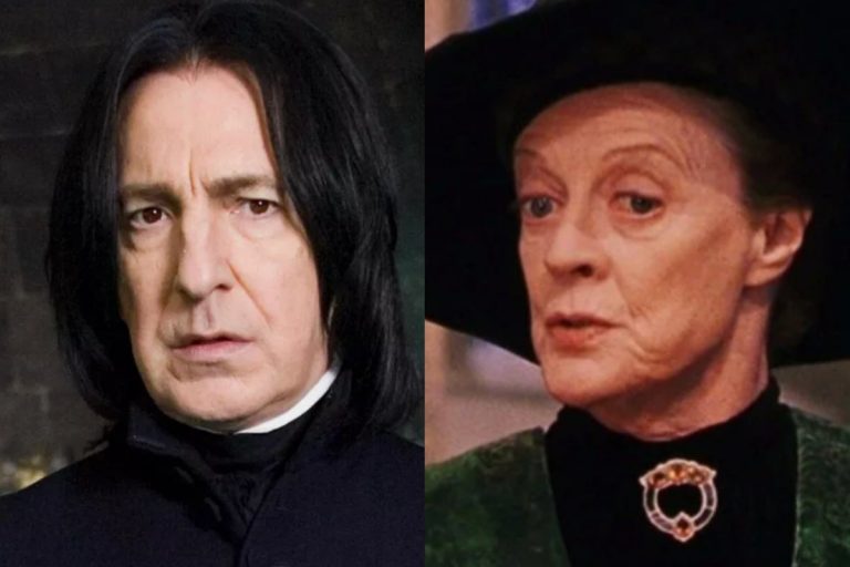 The Harry Potter Series Features Speculation About Characters From Snape