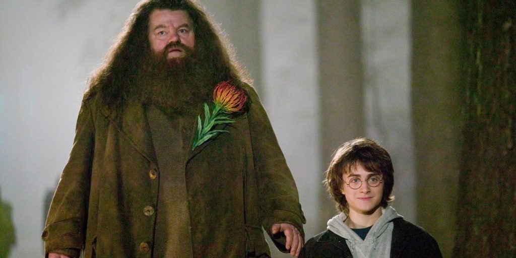 The Casting Strategy For Hagrid In The Harry Potter Remake