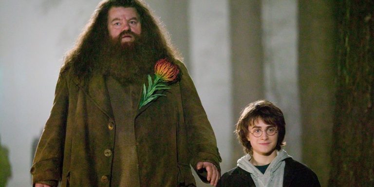 The Casting Strategy For Hagrid In The Harry Potter Remake