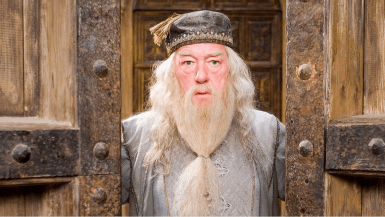 The Character In The Hbo Reboot Of Harry Potter Might
