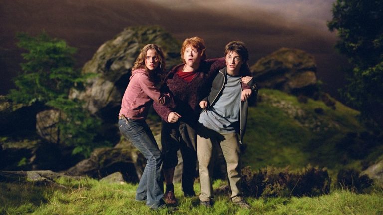 The Surprising Highest Earner Among Harry Potter Stars Has Been