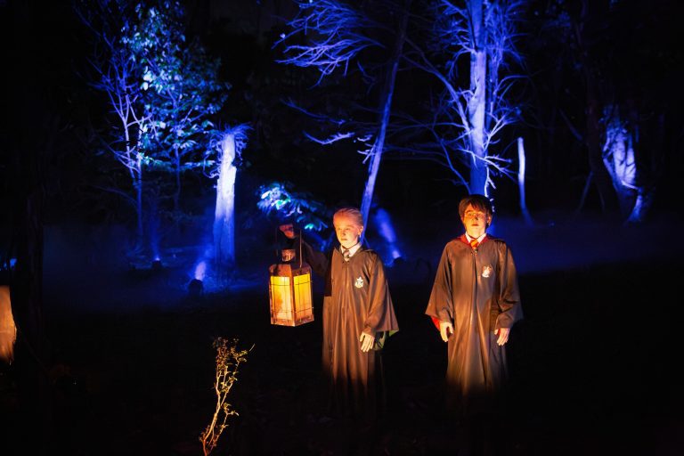 Harry Potter Themed Illuminated Trail Tour In Australia