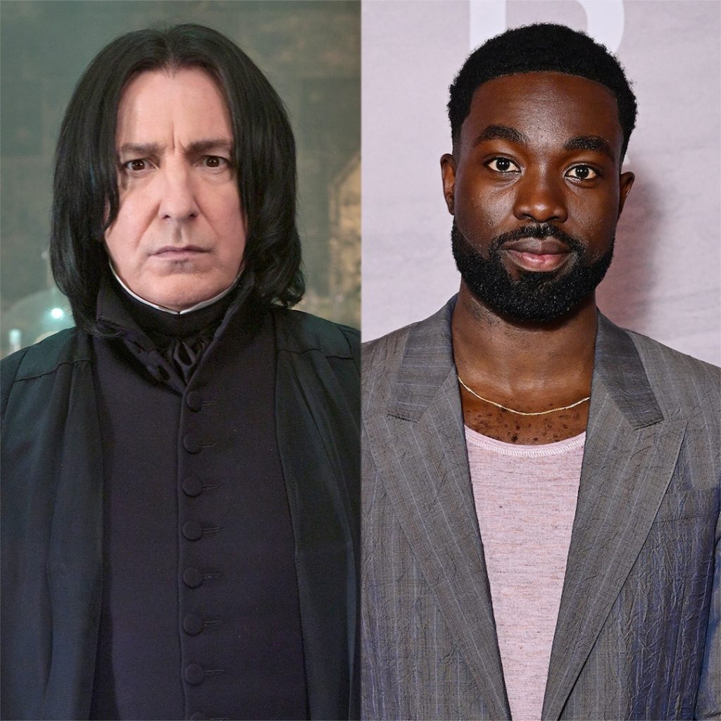 Introducing The Cast Of The Harry Potter Tv Series
