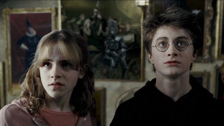One Of The New Cast Members From Harry Potter's Tv